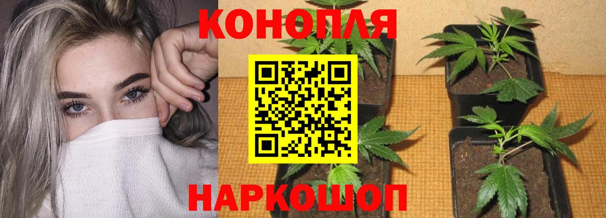 Канабис White Widow  Вход с VPN  Глазов  Шишки марихуана конопля 